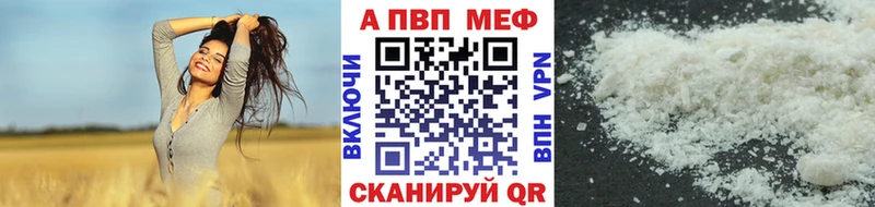 A PVP СК Печоры