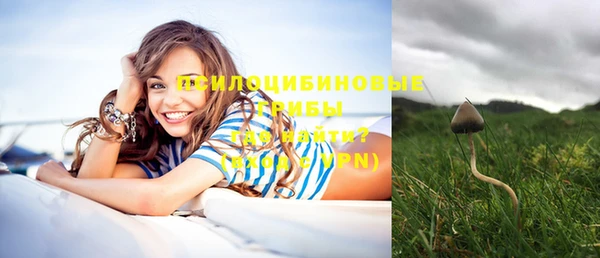 спайс Горнозаводск