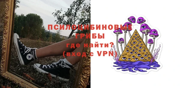 прущий лед Горняк